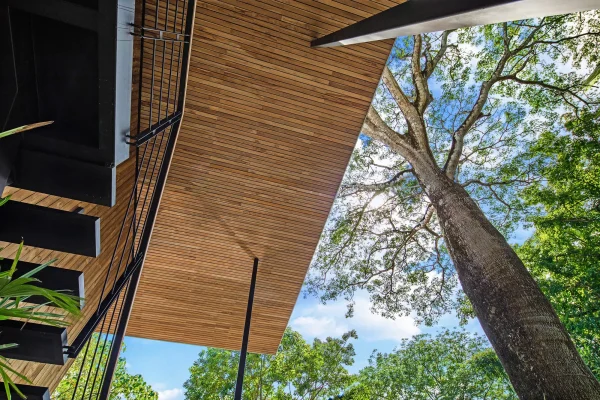 dach domu raintree w tropikalnej naturze